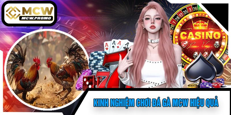 Kinh Nghiệm Chơi Đá Gà MCW Hiệu Quả
