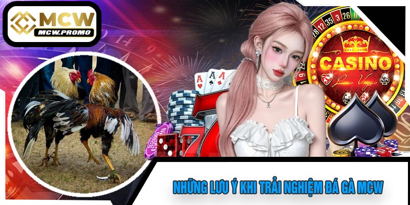 Những Lưu Ý Khi Trải Nghiệm Đá Gà MCW