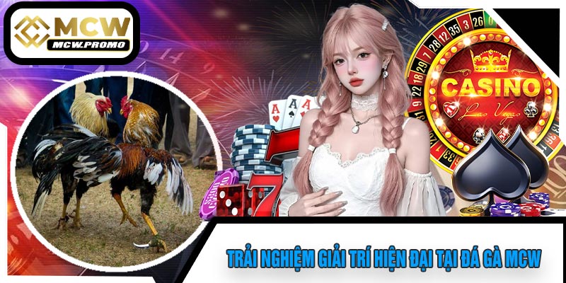 Trải Nghiệm Giải Trí Hiện Đại Tại Đá Gà MCW