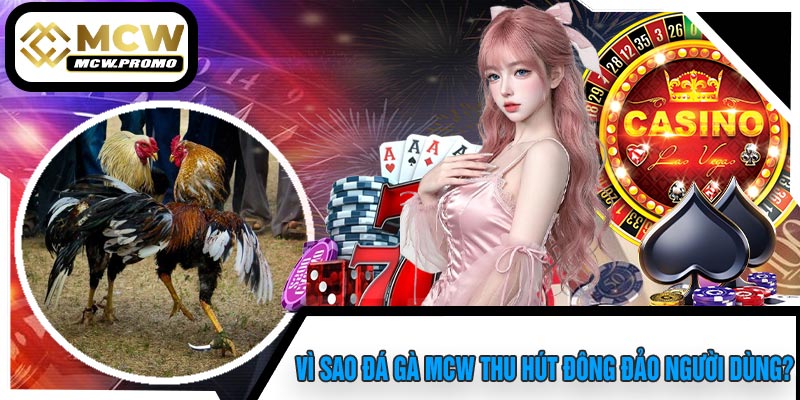 Vì Sao Đá Gà MCW Thu Hút Đông Đảo Người Dùng?
