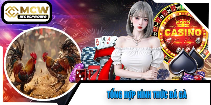 tổng hợp hình thức đá gà